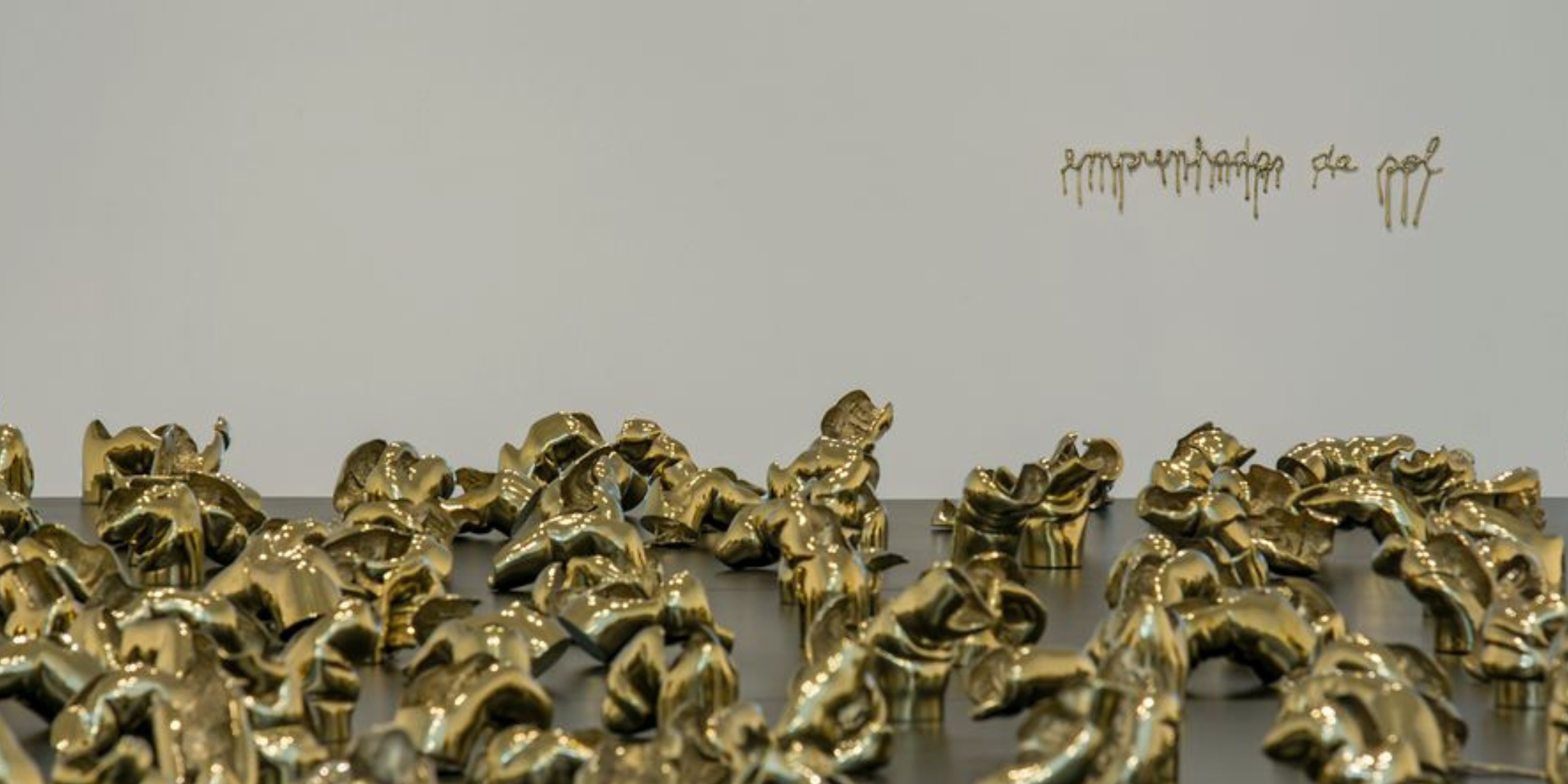 Conversa com artista e curador | Dias normais, individual de Shirley Paes Leme