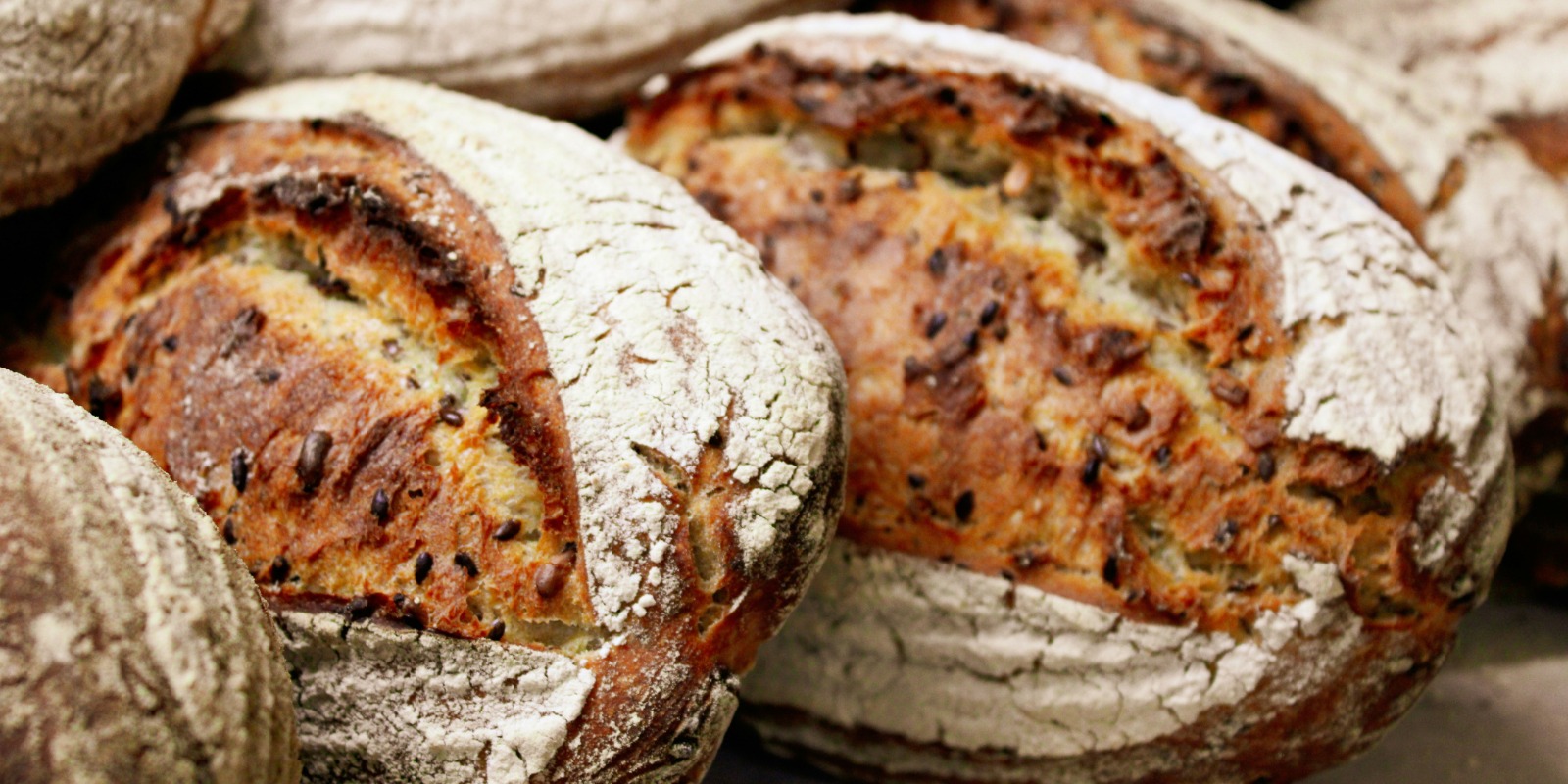 Do Levain ao P&atilde;o: Introdu&ccedil;&atilde;o &agrave; fermenta&ccedil;&atilde;o natural