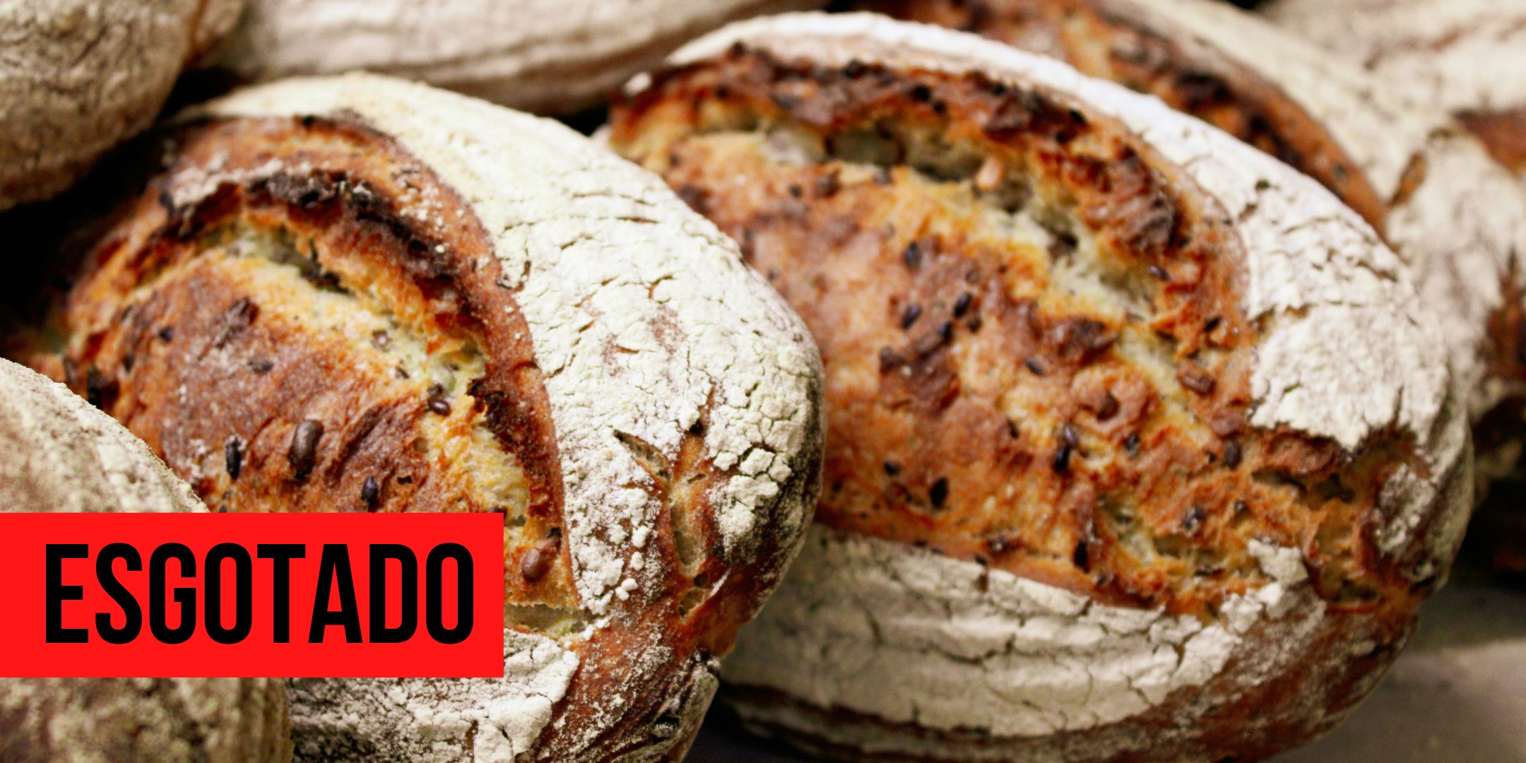 Do Levain ao P&atilde;o: Introdu&ccedil;&atilde;o &agrave; fermenta&ccedil;&atilde;o natural