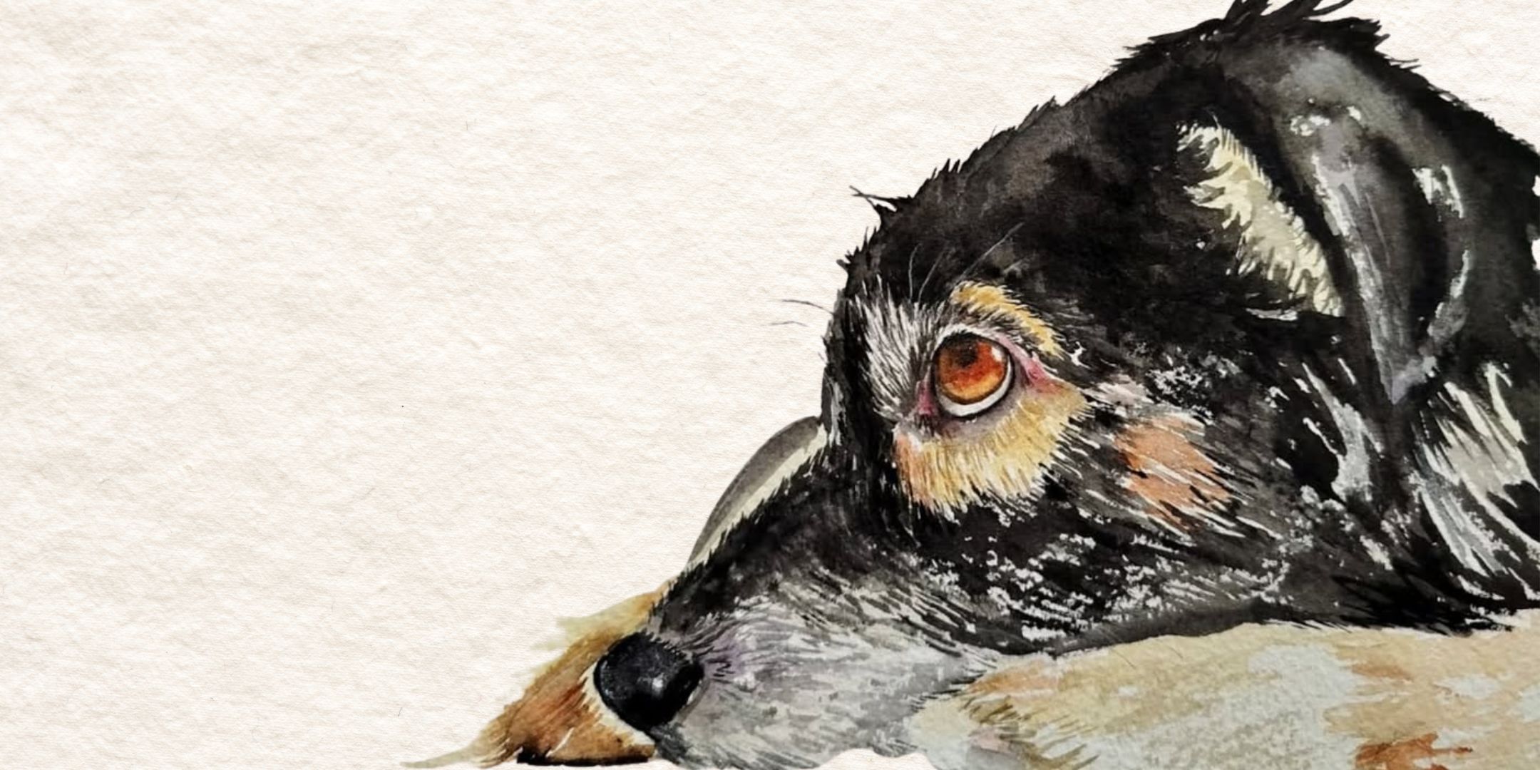 Introdu&ccedil;&atilde;o &agrave; Aquarela: pinte o pet