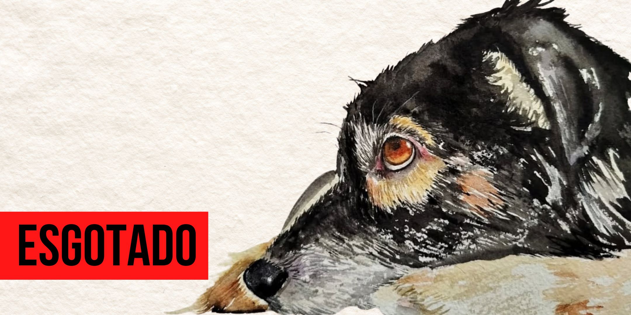 Introdu&ccedil;&atilde;o &agrave; Aquarela: pinte o pet