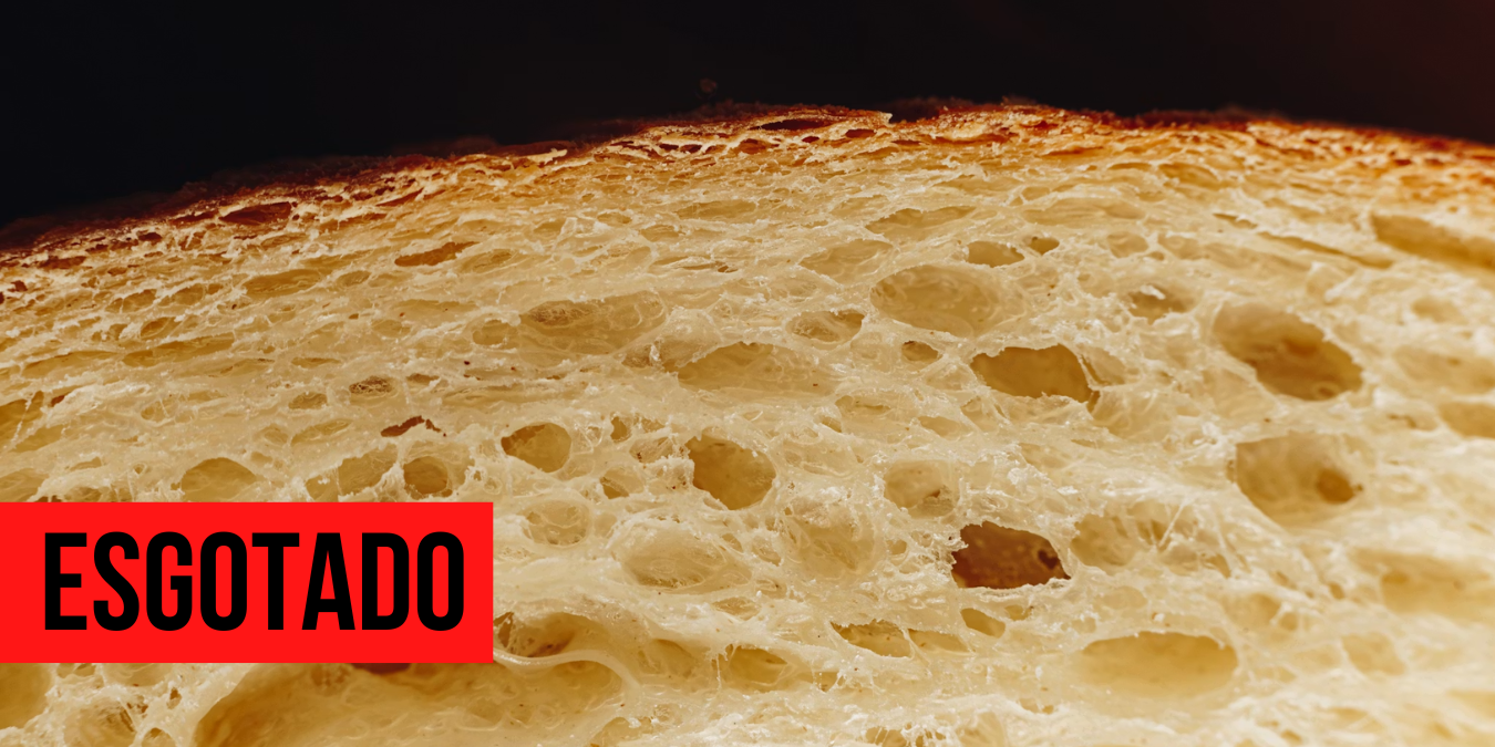 Do p&atilde;o aos acompanhamentos: os segredos da fermenta&ccedil;&atilde;o, com &Aacute;gata de Britto