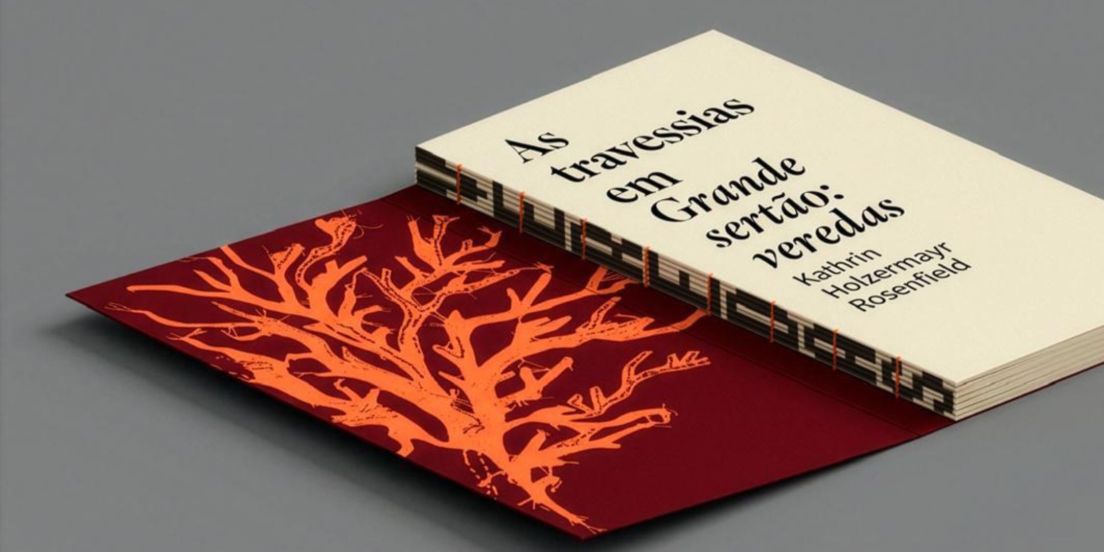 Lan&ccedil;amento do livro As travessias em Grande sert&atilde;o: veredas