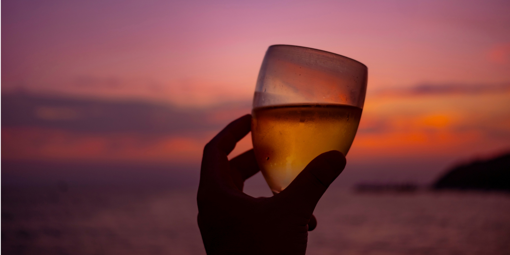 Desvendando Brasil de Vinhos: Vinhos Tropicais